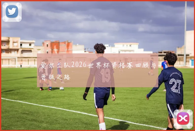 爱尔兰队2026世界杯资格赛回顾与晋级之路