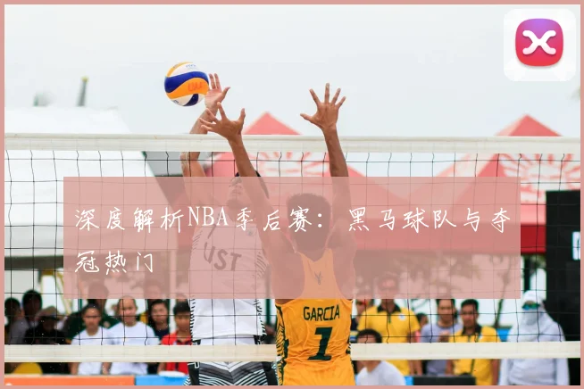 深度解析NBA季后赛：黑马球队与夺冠热门